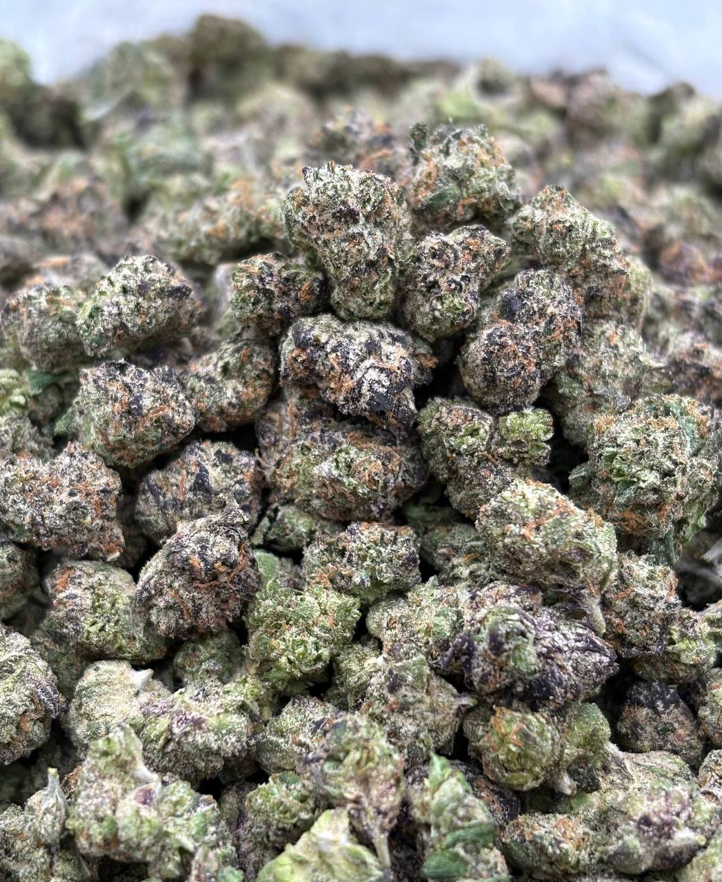 Blackberry Skittles *smalls