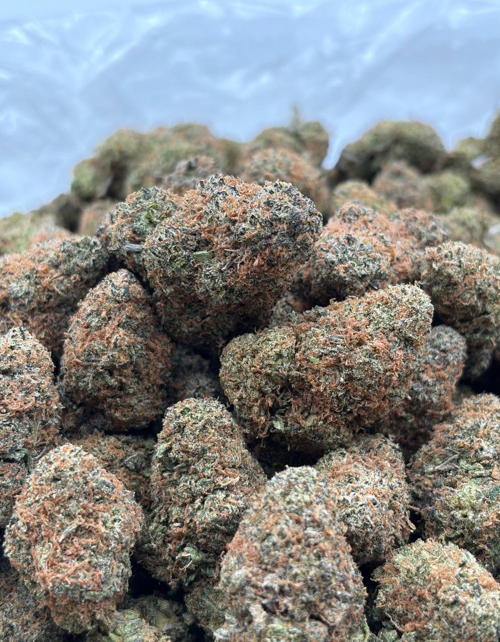 Candied Gelato Runtz