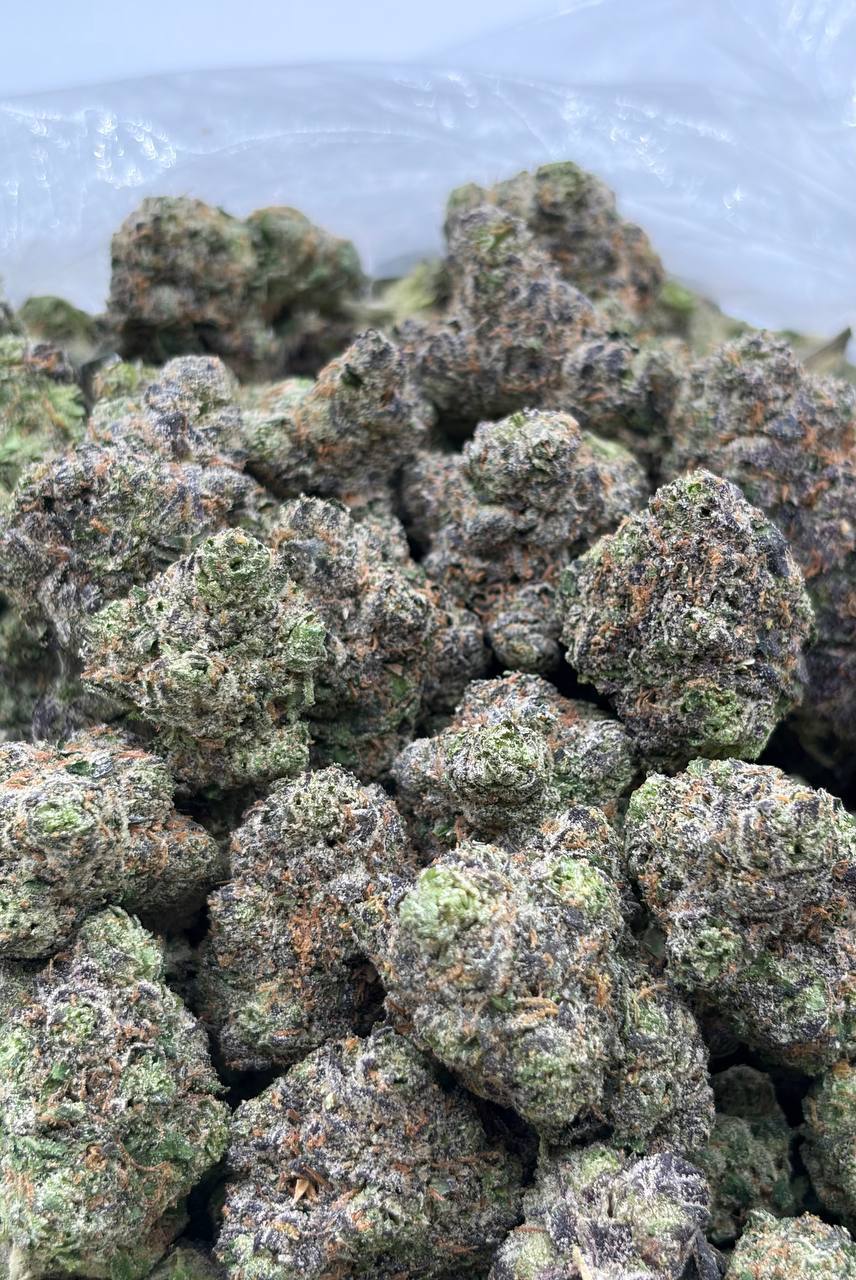 Lemon Candy Sherbinski