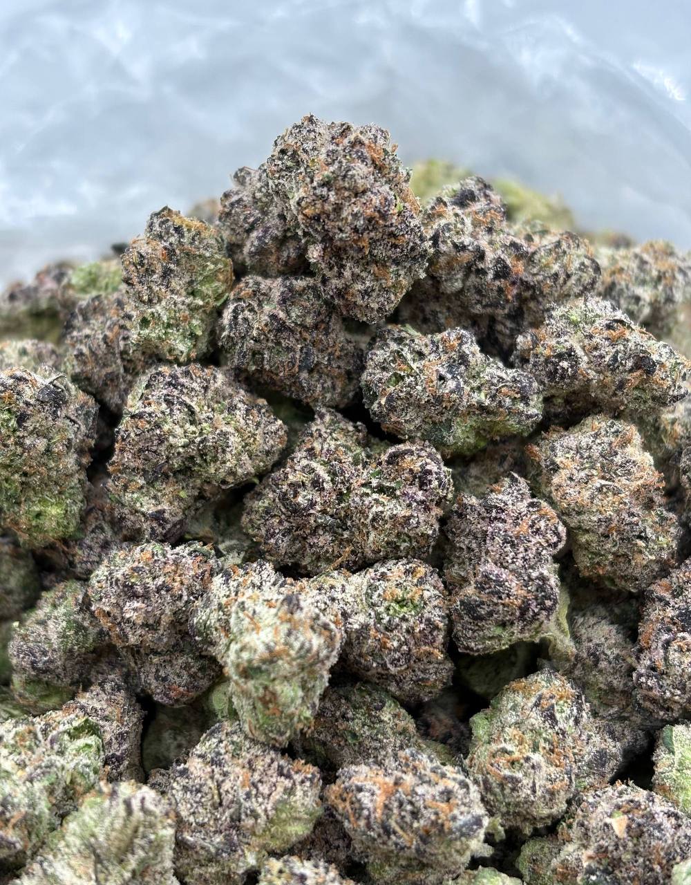 LA Confidential *medium