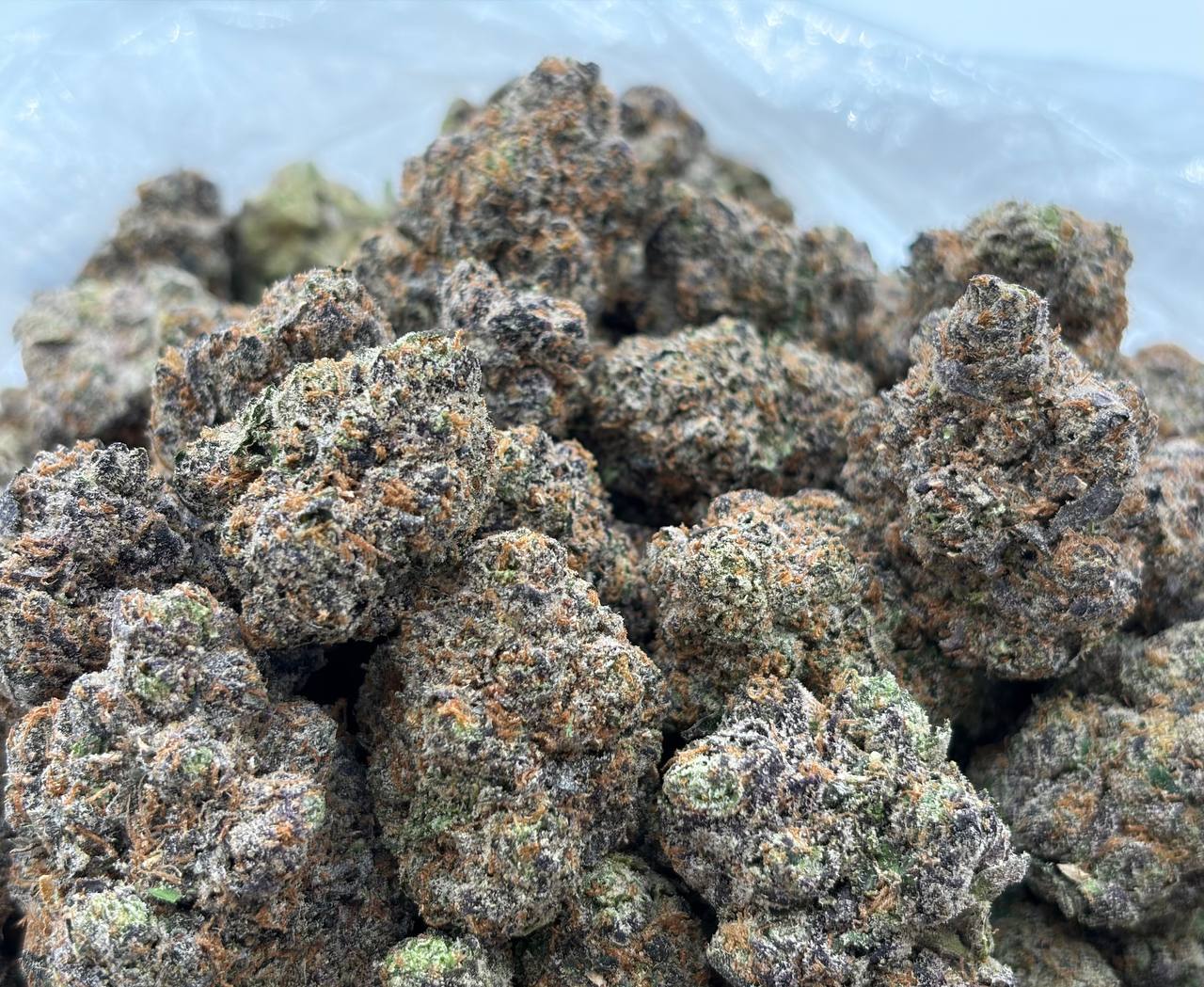 Gelatti Biscotti Runtz
