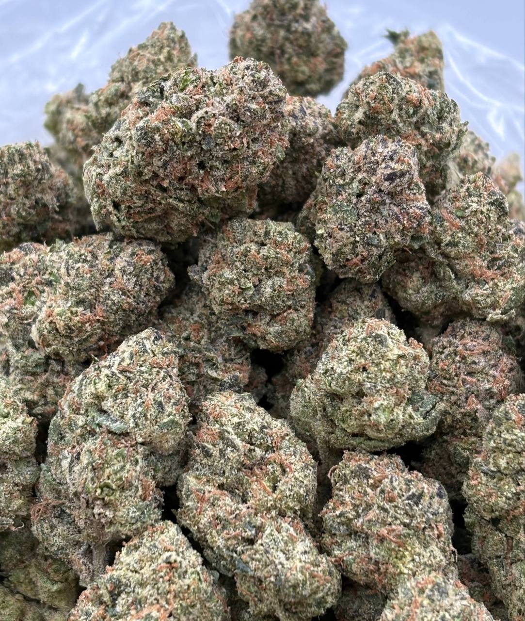 Gelato Candy Runtz