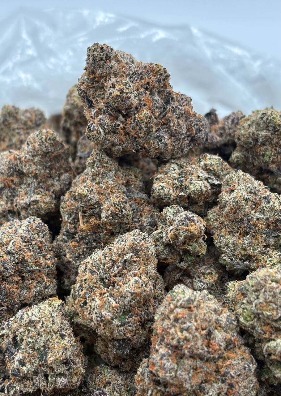 London Pound Skidoos